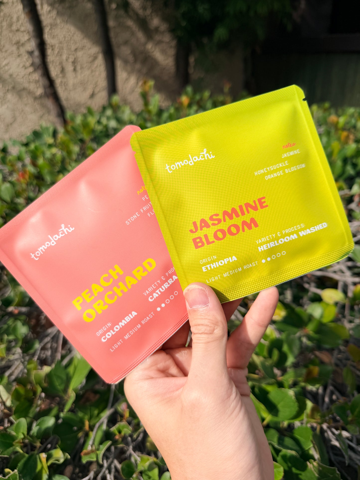 Pour-over Pouch (set of 10)