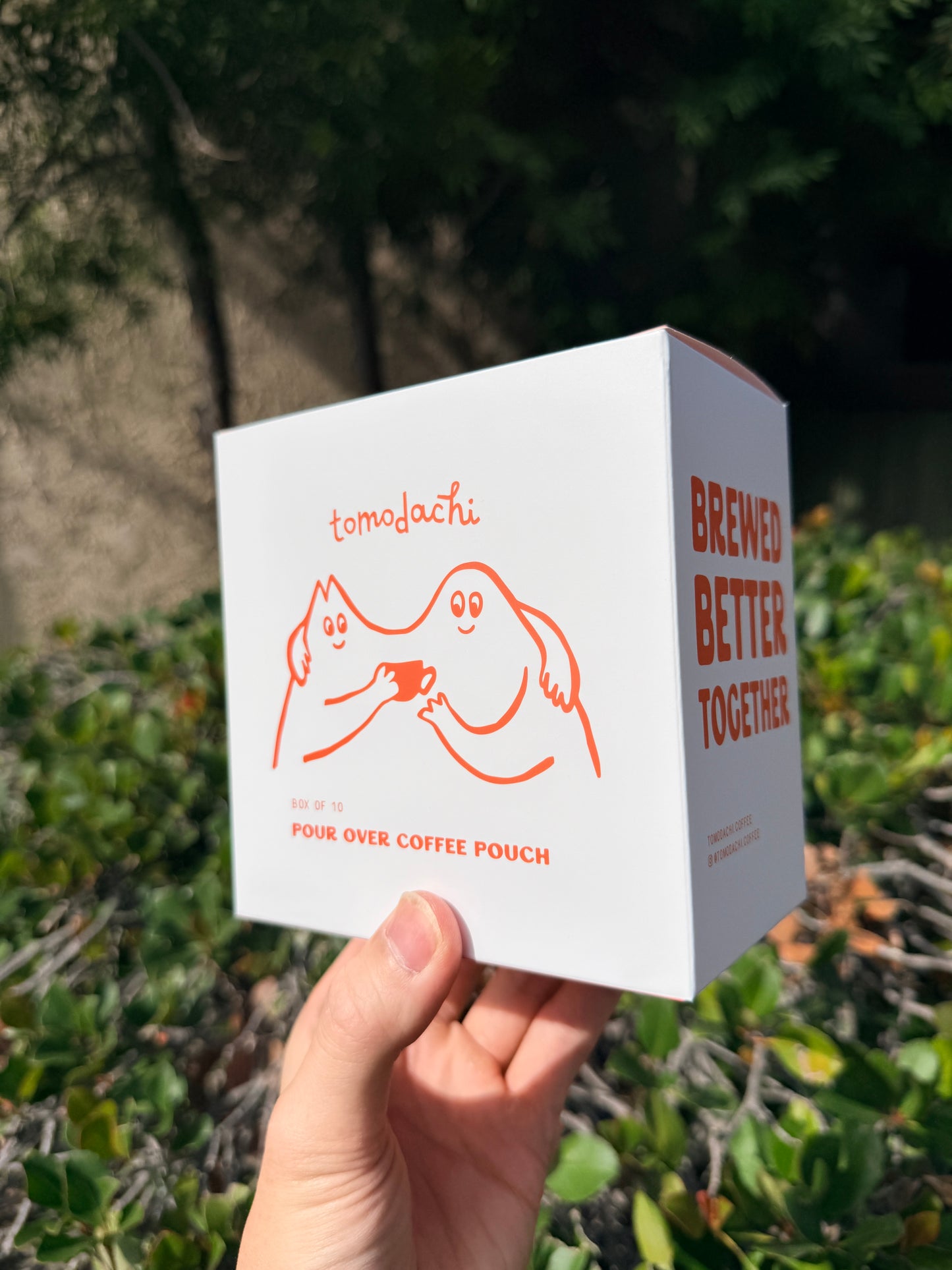 Pour-over Pouch (set of 10)