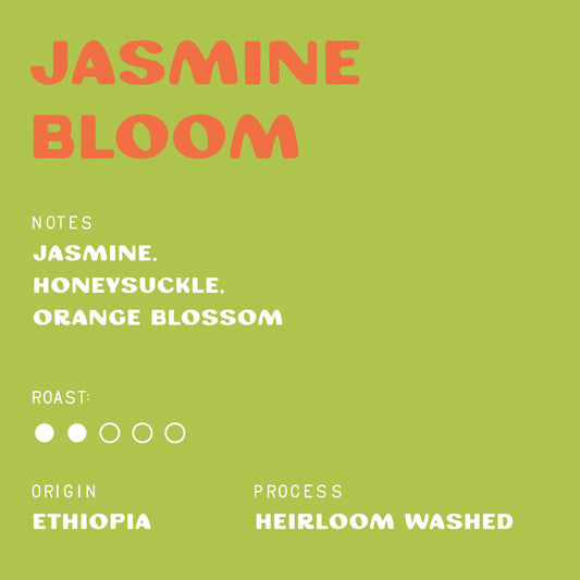 Jasmine Bloom